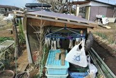 手直し後完成右サイド