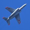 菜園・T4練習機