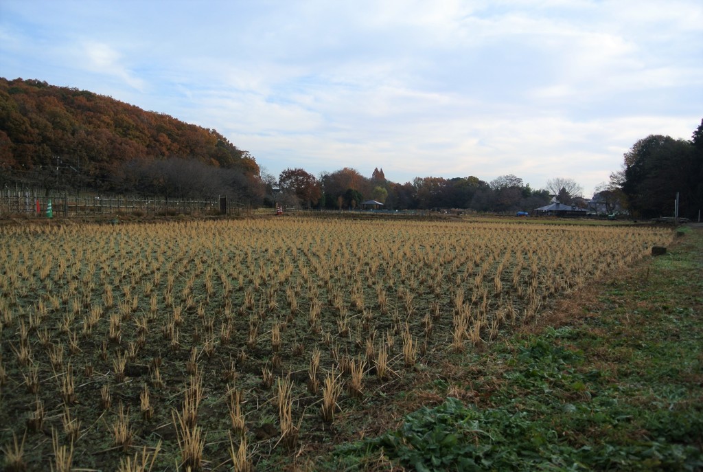 初冬の田園風景