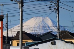 用水路・真っ白クッキリ富士山