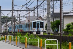 紫陽花沿線・旅するレストラン、52席の至福