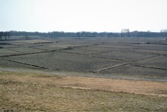 荒川一帯の田園