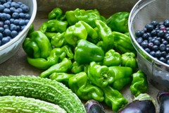 菜園・ピーマンもまだ生っているが・・