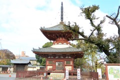 喜多院.