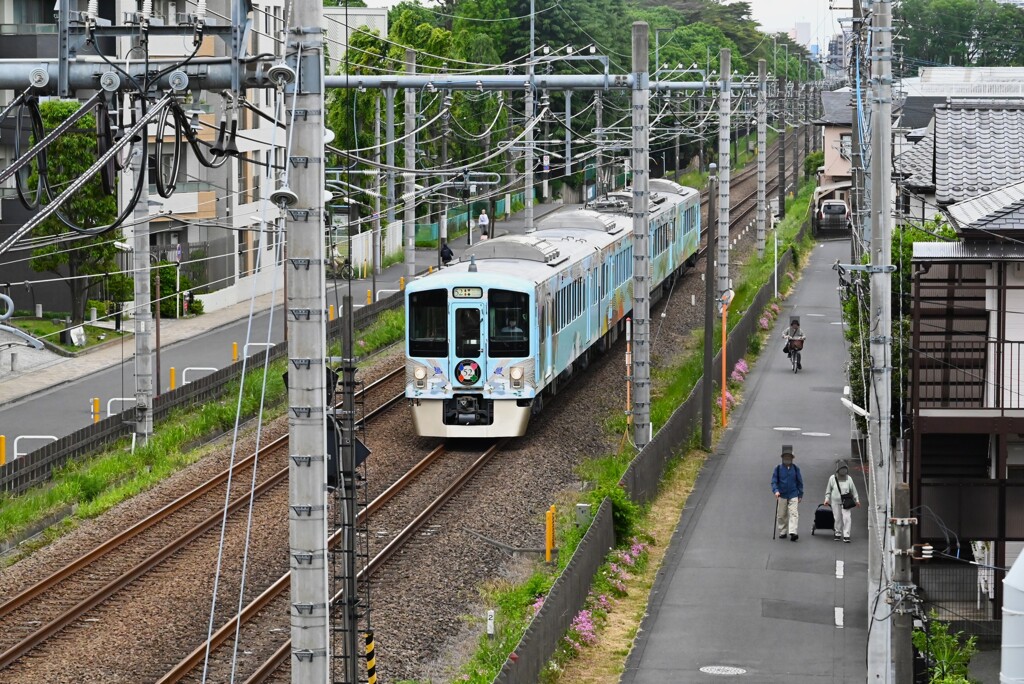 西武沿線・新緑を駆け抜けるレストラン