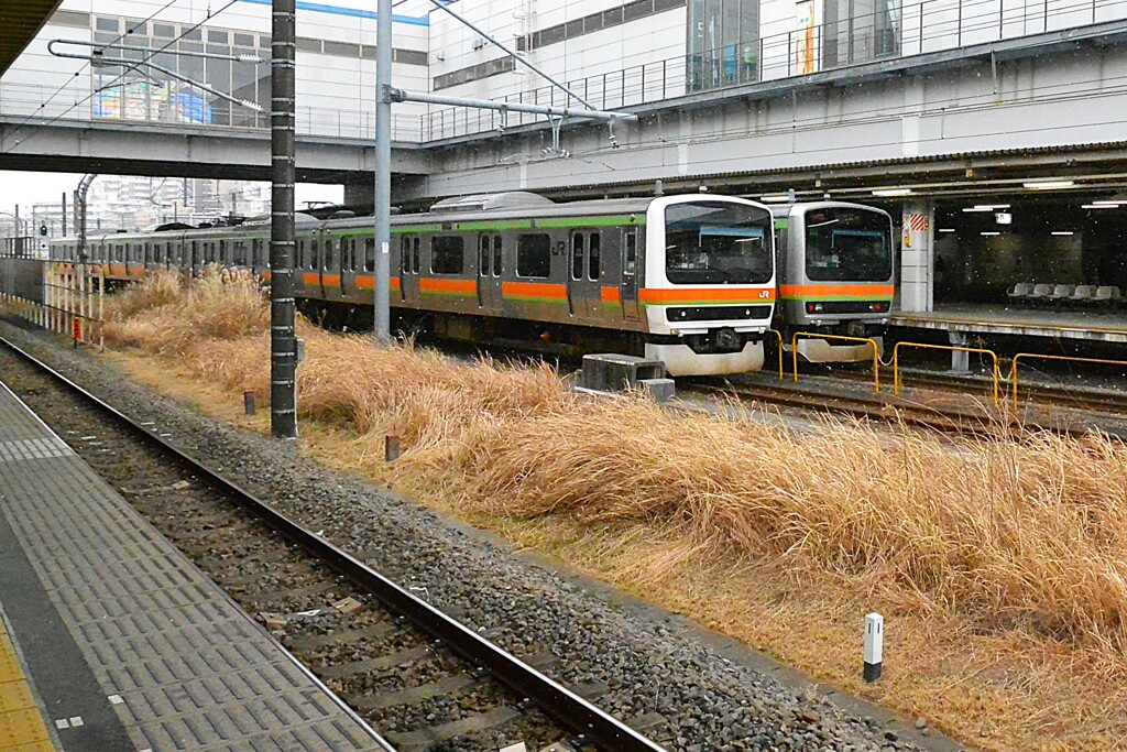 第19回瑞穂のつるし飾り  (帰りの乗換駅で・・)