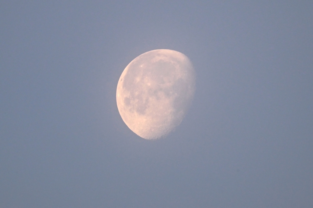 5月20日・下弦の月