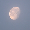 5月20日・下弦の月
