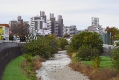 干上がったK川と摩天楼