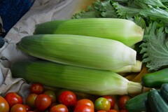 菜園・頂き物のトウモロコシ