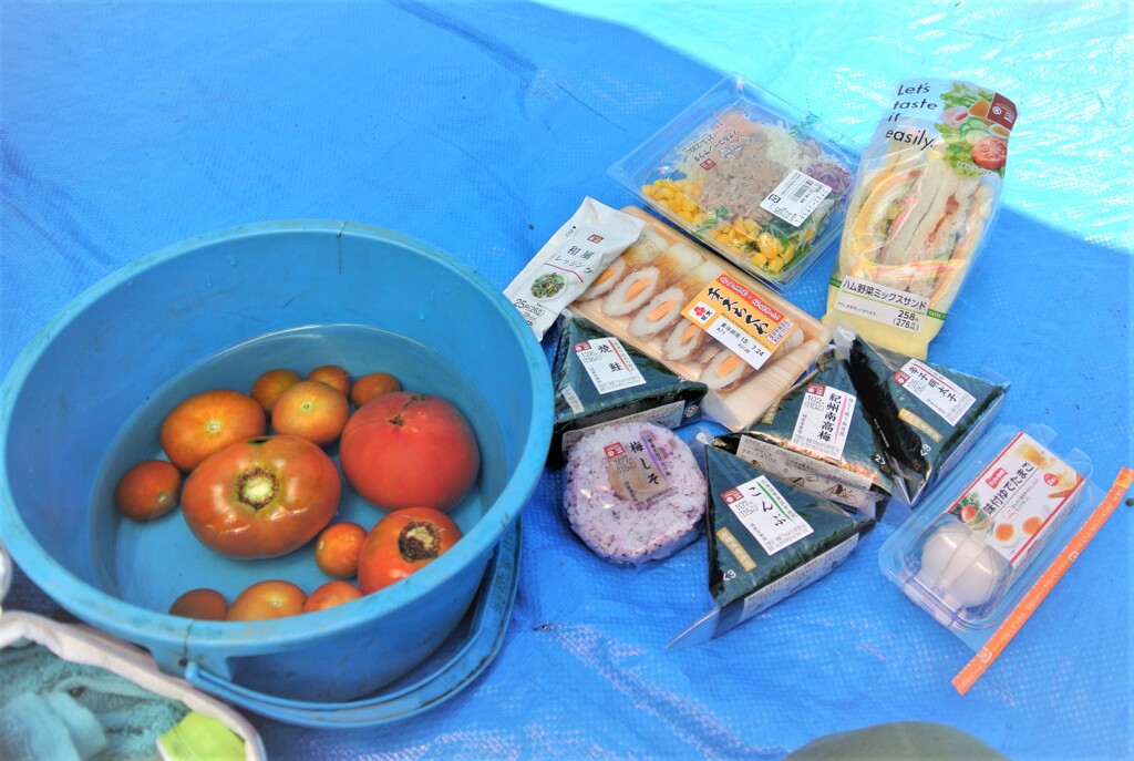 菜園あの日 ....