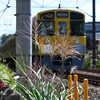 ススキ沿線・西武2000系