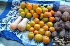 菜園・10月10日の柿２種類収穫