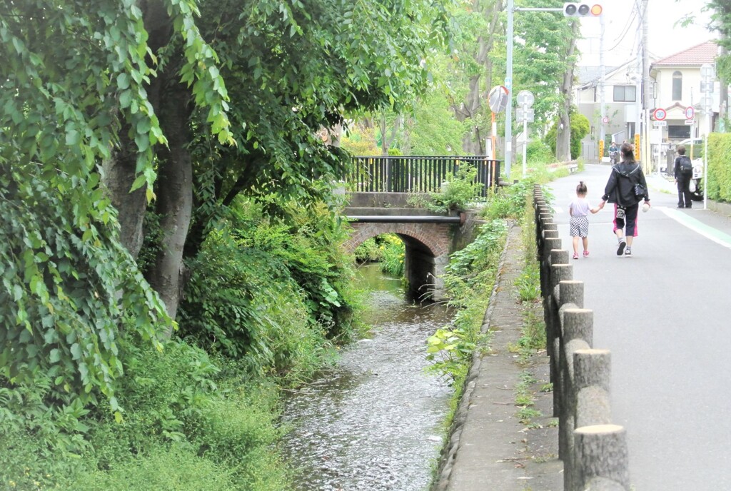 用水路の風景