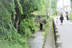 用水路の風景
