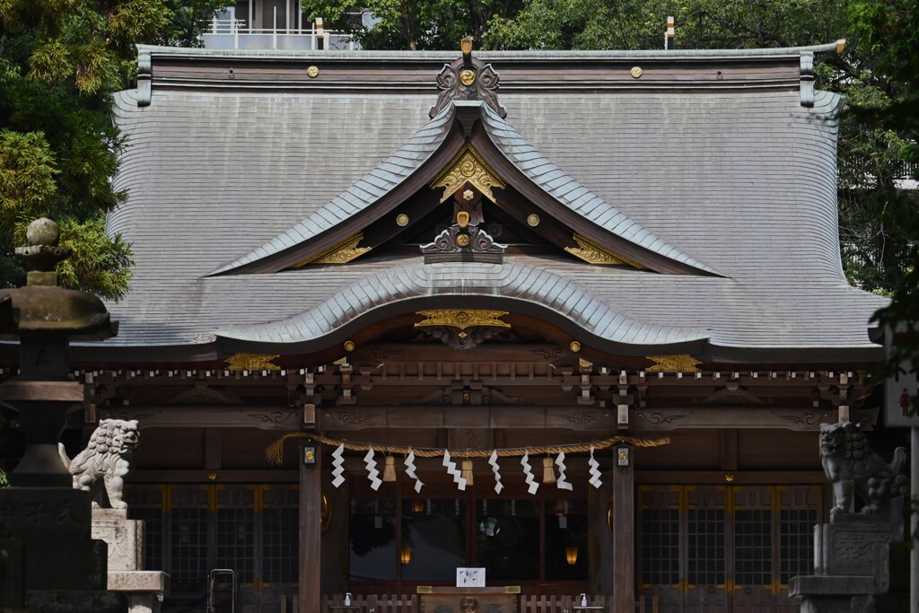 K川沿道・八坂神社
