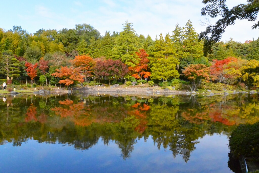 公園ウォークラリー・紅葉水鏡