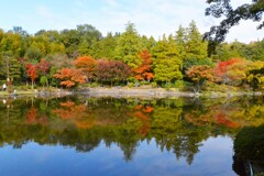 公園ウォークラリー・紅葉水鏡
