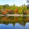 公園ウォークラリー・紅葉水鏡