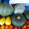 菜園・7月29日の収穫 (初穫れカボチャ3種)