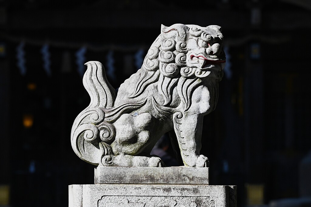 八坂神社・狛犬の「ウン」