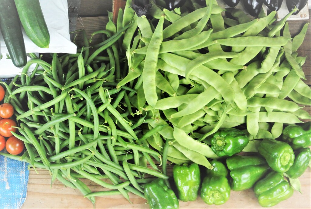 ドジョウインゲンとモロッコインゲン