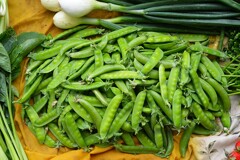 菜園・キヌサヤとスナップエンドウ