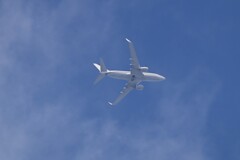 K川上空・真夏の空を行く旅客機