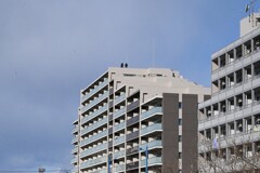 K川沿道・屋上に・・