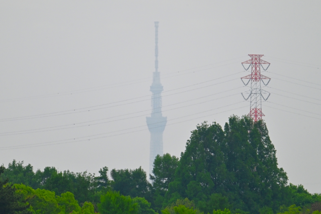 A公園よりスカイツリー