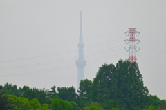 A公園よりスカイツリー