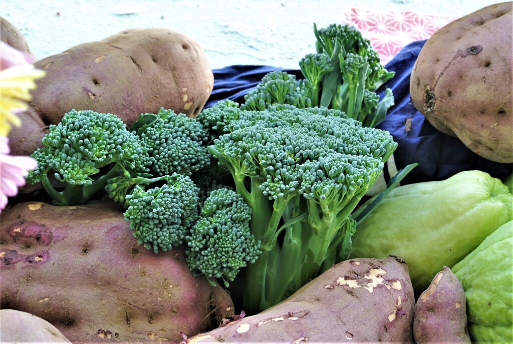 スティックブロッコリー