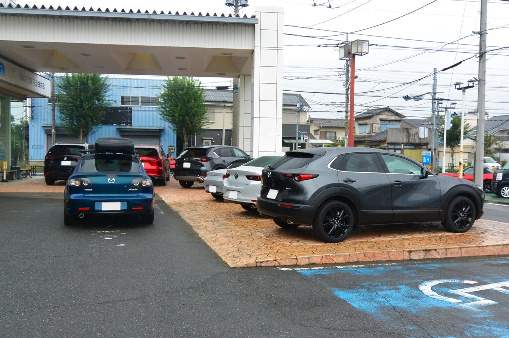 12か月点検・トップ並びの愛車