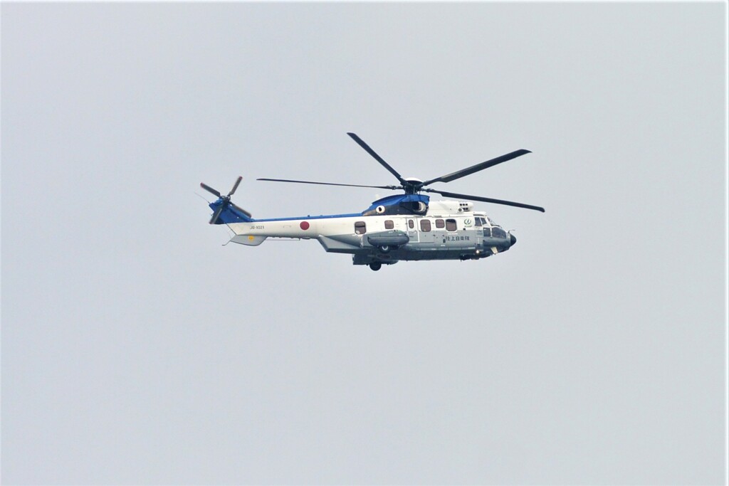 菜園の空から・・・