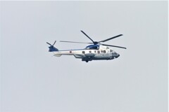 菜園の空から・・・