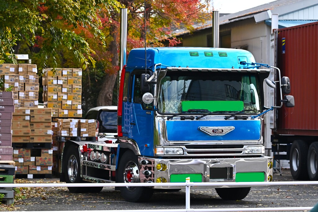 連絡道・ 倉庫でトレーラーヘッド脇に並ぶシャーシ