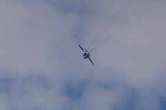 菜園上空・ブルーインパルスが航空祭の打ち合わせに来た！ 