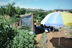 道具小屋と前方タープの関係