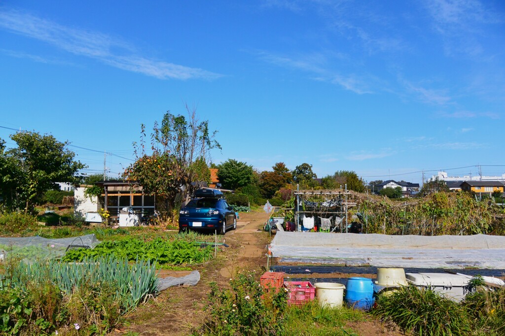 菜園・道具小屋周辺と愛車、遠景