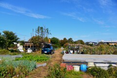 菜園・道具小屋周辺と愛車、遠景