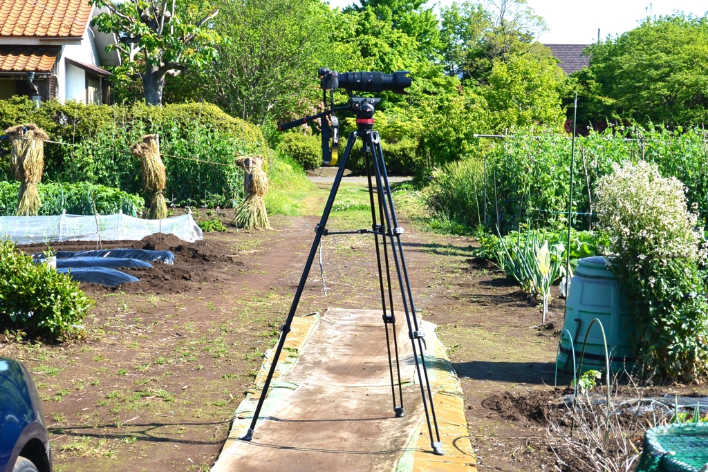 菜園・Ｚ５三脚フルセット