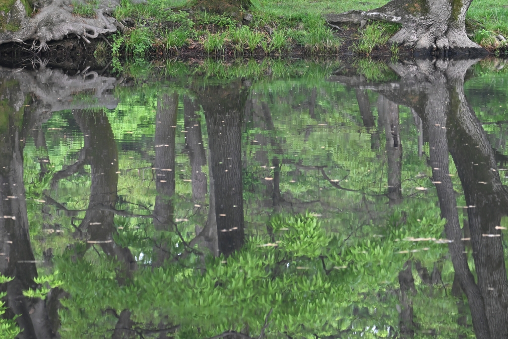 A公園・水鏡