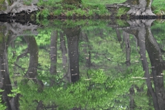 A公園・水鏡