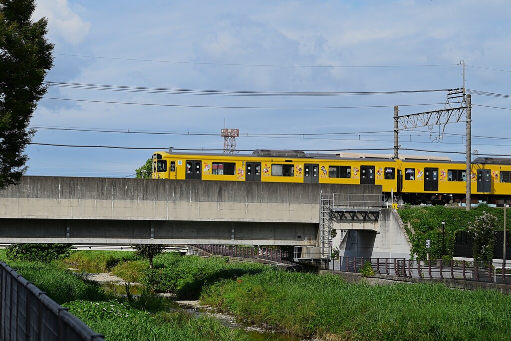 Ｋ川中流域・西武国分寺線鉄橋のラッピング電車
