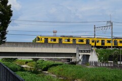 Ｋ川中流域・西武国分寺線鉄橋のラッピング電車