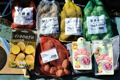 ジャガイモの種5種6.3kg