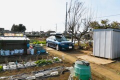 菜園・近況報告 (道具小屋周辺)