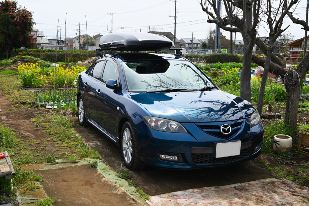 菜園・菜の花と愛車