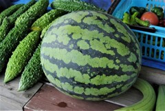 第十一回・二個目のスイカ