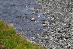 K川・涸れ川に突然水の流れ・・